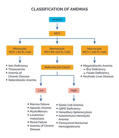 alemia|Anemia Overview